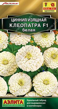 Цветы Цинния Клеопатра F1 белая ц/п Аэлита *28