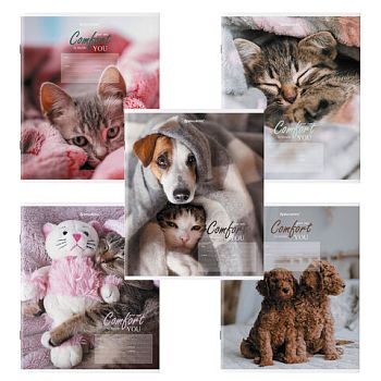 Тетрадь 24 листа клетка "Питомцы" BRAUBERG картонная обложка 20шт