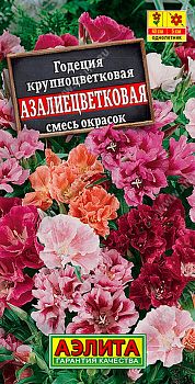 Цветы Годеция Азалиецветковая махровая, смесь ц/п Аэлита*29 од