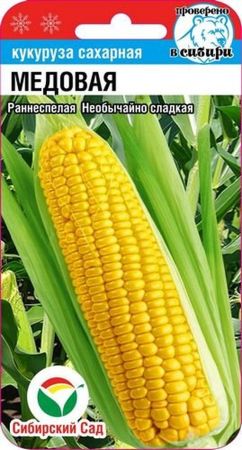 15368