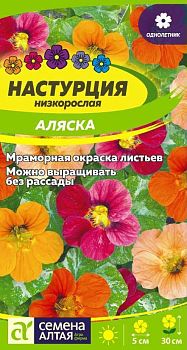 Цветы Настурция Аляска низкорослая/Сем Алт/цп 0,5 гр. (2029)