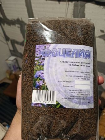 IMG-20240726-WA0005