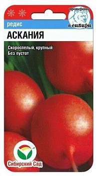 Редис АСКАНИЯ 2г ц/п СибС