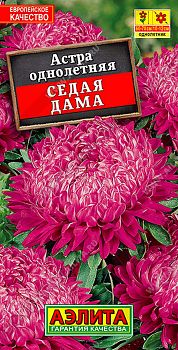Цветы Астра Седая дама ц/п Аэлита*28