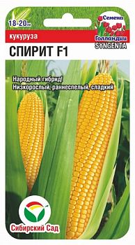 Кукуруза Спирит F1 ц/п 5шт СибС