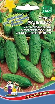 Огурец Малышок ц/п Марс 