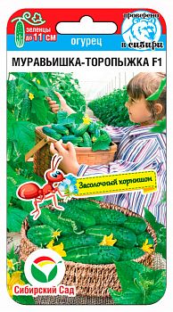 Огурец Муравьишка-торопыжка ц/п 7шт СибС