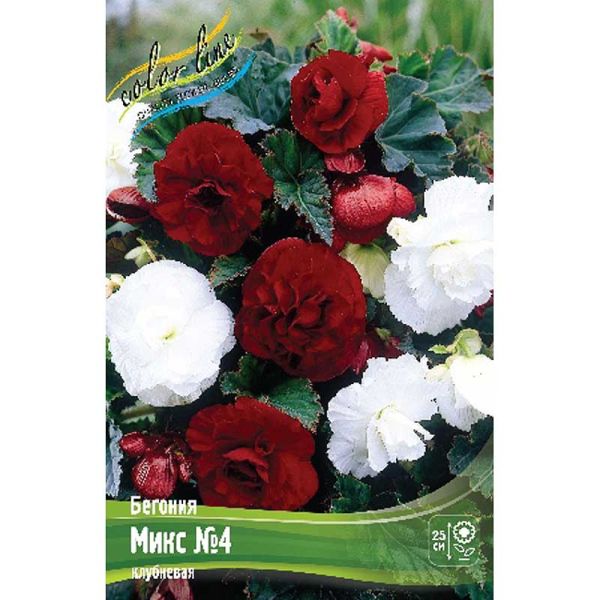 77w33j3695znt3cykhlen2rin6e8i0xl