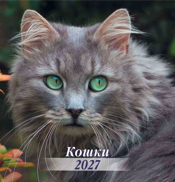 Календарь 23х22 КПС2718 Кот-2-изображения-0