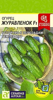 Огурец Журавленок Fl /Сем Алт/цп 0,3 гр. (2029)