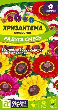 Цветы Хризантема Радуга килеватая/Сем Алт/цп 0,1 гр. (2029)