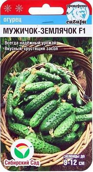 Огурец Мужичок-землячок F1 ц/п 7шт СибС