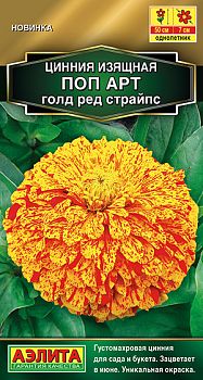 Цветы Цинния Поп арт голд ред страйпс ц/п Аэлита*28