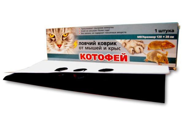 xuumdivvg5knyisbg71a0fylshl3dmms
