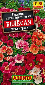 Цветы Годеция крупноцветковая белесая, смесь ц/п Аэлита *29