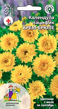 Цветы Календула Крем брюле пацифик ц/п Марс