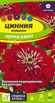 Цветы Цинния Черри Квин георгиноцветковая/Сем Алт/цп 0,2 гр. (2028)