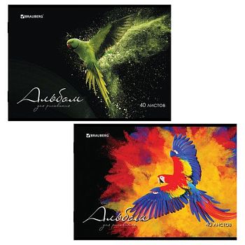 Альбом для рисования 40 листов А4 "Полёт" BRAUBERG /9шт