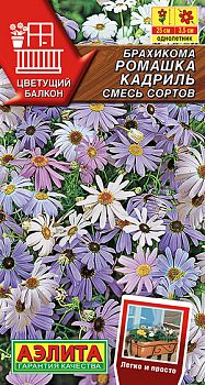Цветы Брахикома Ромашка кадриль смесь сортов ц/п Аэлита*29