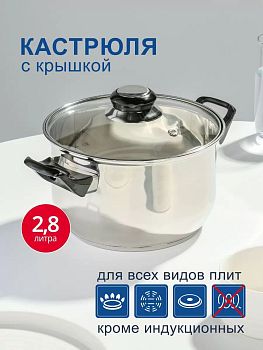 Кастрюля 2,8л нерж. сталь крышка стекло DNN1 SD-A19-18/SD-A19-6-18