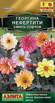 Цветы Георгина Нефертити, смесь ц/п Аэлита*28