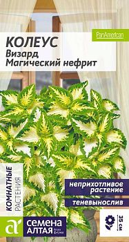 Цветы Колеус Визард Магический Нефрит/Сем Алт/цп 5 шт. (2028)