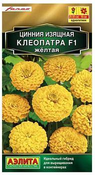 Цветы Цинния Клеопатра F1 желтая ц/п Аэлита *28
