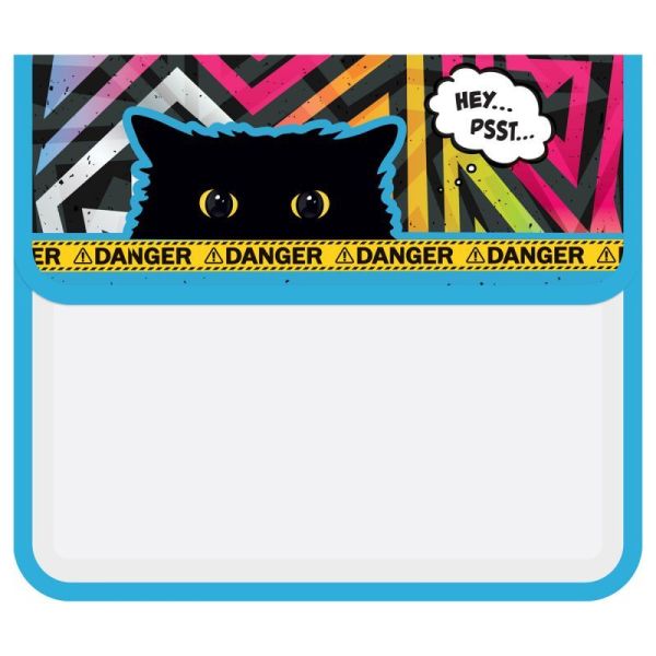 papka_dlya_tetradey_2_otdeleniya_a5_artspace_quot_spy_cat_quot_230_215_40mm_plastik_na_lipuchke_1674652441_1