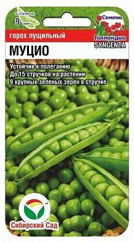 Горох Муцио 4г ц/п СибС