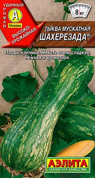 Тыква мускатная Шахерезада ц/п Аэлита*29