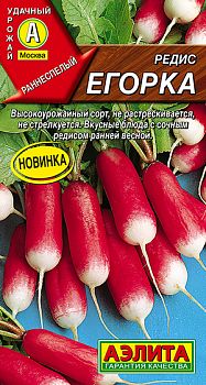 Редис Егорка ц/п Аэлита *29