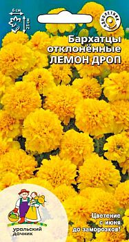 Цветы Бархатцы отклоненные Лемон дроп ц/п Марс
