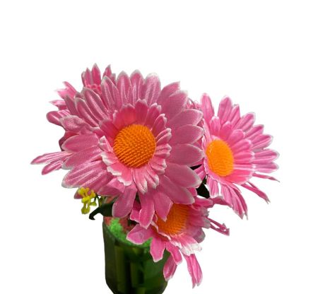 26937-PhotoRoom.png-PhotoRoom_1