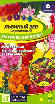 Цветы Львиный зев Магический Ковер/Сем Алт/цп 0,1 гр. (2029)