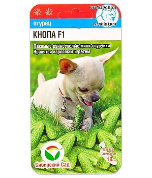 Огурец Кнопа F1 ц/п 7шт СибС