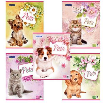 Тетрадь 48 листов клетка "Любимчики" BRAUBERG картонная обложка 20шт 401816