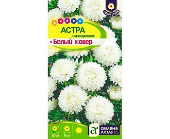 Цветы Астра Белый Ковер низкорослая/Сем Алт/цп 0,1 гр. (2028)