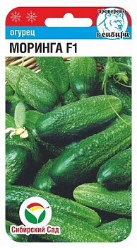 Огурец Моринга F1 ц/п 7шт СибС