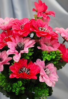 Георгин 18голов 50см 1/20