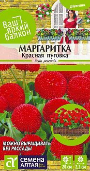 Цветы Маргаритка Красная Пуговка помпонная/Сем Алт/цп 0,02 гр. Ваш яркий балкон (2028)