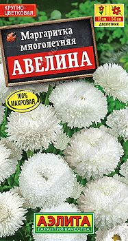 Цветы Маргаритка Авелина крупноцветков ц/п  Аэлита*29 дв