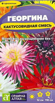 Цветы Георгина Кактусовидная/Сем Алт/цп 0,1 гр. (2028,2029)