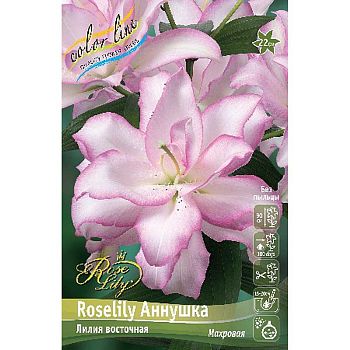 Лилия Roselily Аннушка 12/14 5шт
