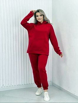 Комплект Женский с  начесом (худи+трико) р.50-60 6/78