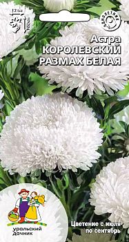 Цветы Астра Королевский размах белая ц/п Марс 