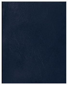 Тетрадь 96 листов линия бумвинил синий Т5бв96л_12336 1шт 