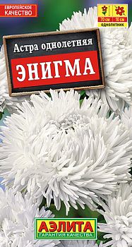 Цветы Астра Энигма коготковая ц/п Аэлита*29