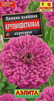 Цветы Цинния Крупноцветковая пурпурная ц/п Аэлита *28