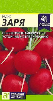 Редис Заря/Сем Алт/цп 2 гр. (2029)