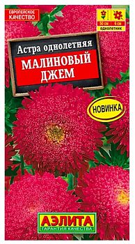 Цветы Астра Малиновый джем ц\п Аэлита*27